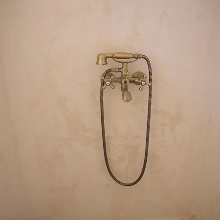 Grandmother's House