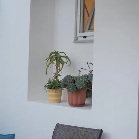 Apartman Grandmother's House