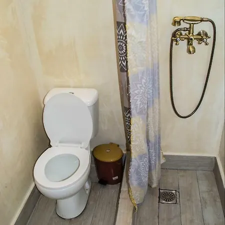 Grandmother's House Apartman Pszínthosz
